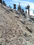 Coyote Pass