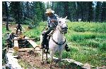 trail building