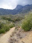 On the Middle Fork Trail