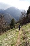 Hiking the Ladybug Trail