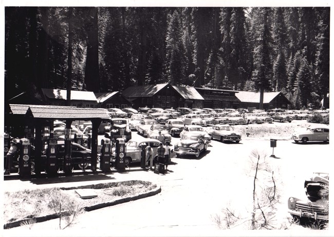 Cars line up at the gas station in Giant Forest