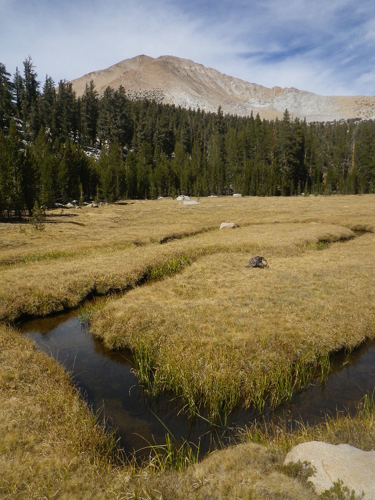 Habitat photo of Chagoopa Creek, one of the proposed project sites.