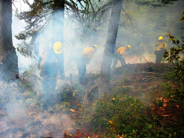 Crew from the Kaweah Wildland Fire Module work on the Garfield Fire. - NPS Photo