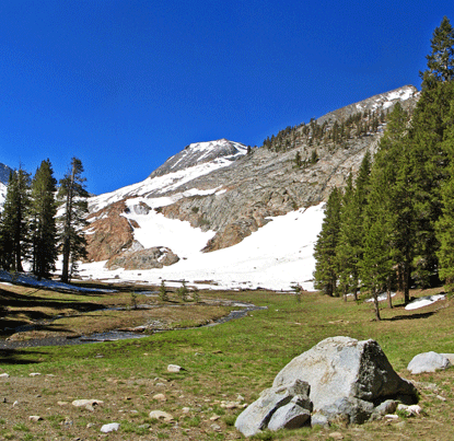 subalpine wet meadow in foreground, rock face with snow on it in background.