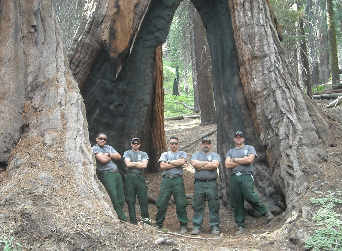 The Crew of Engine 51 at Grant Grove. 
