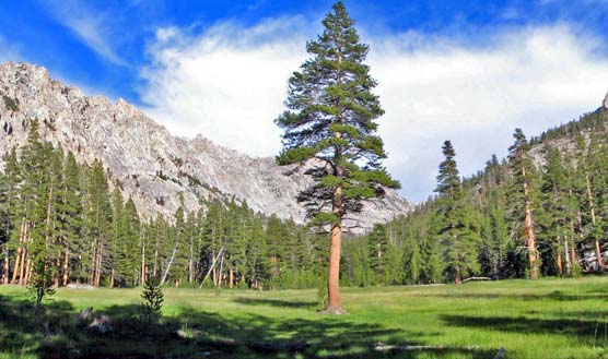 View of Vidette Meadow looking up Bubbs Creek toward the Sierra Crest