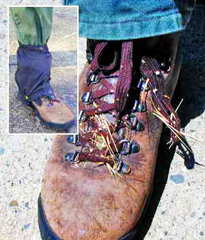Seeds stick to the laces of a hiking book. Inset photo shows leg with a vinyl gator covering the laces of the boot.