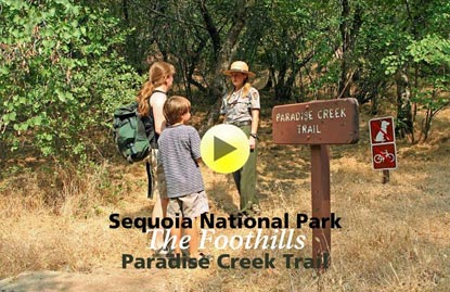 Ranger leads visitors on a trail.