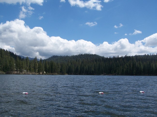 A view of Hume Lake and the forest beyond