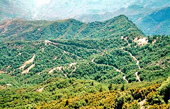 View of the Generals Highway switchbacks from the south edge of the Giant Forest