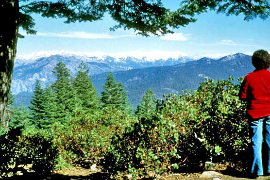 View from Panoramic Point in Grant Grove.