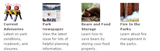 Current Conditions, Park Newspaper, Bears and Food Storage, Fire in the Parks