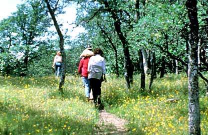 Hikers enjoy a trail in the Foothills of Sequoia National Park