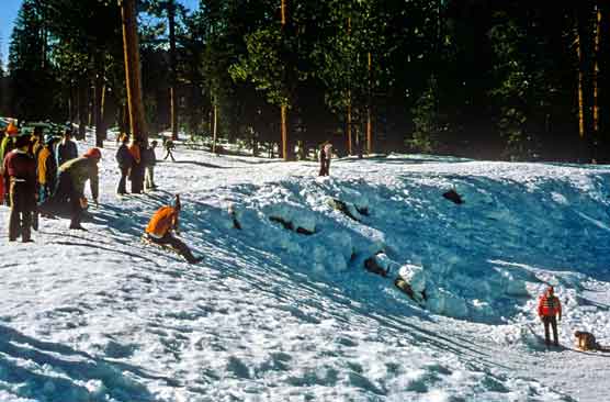 Sledder begins descent of hill in park snowplay area