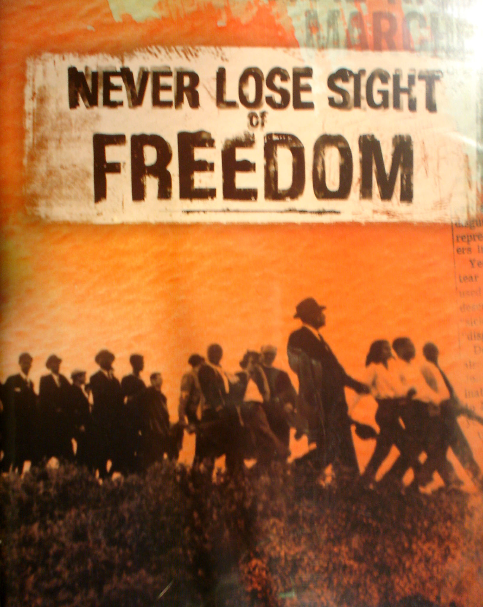 Never Lose Sight Of Freedom