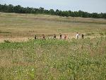 Discovering the mysteries of the Big Meadow