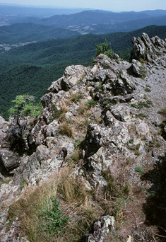 The rocky ledges of Little Stony Man Cliffs, with a gorgeous view of the Shenandoah Valley in the background.