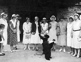 Black bear with visitors at Panorama Resort.