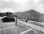 Couple with dog at an overlook along Skyline Drive