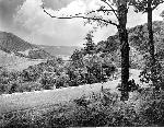 Visitor takes in the views along Skyline Drive