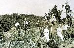 Springs Guests On Black Rock