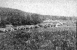 Skyland CCC Camp