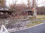 Ice storm damage in Shenandoah
