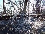 Ice storm damage in Shenandoah