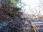 Ice storm damage in Shenandoah