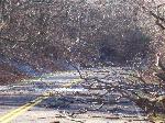 Ice storm damage in Shenandoah