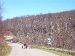 Ice storm damage in Shenandoah
