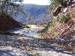 Ice storm damage in Shenandoah
