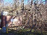Ice storm damage in Shenandoah