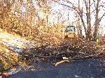 Ice storm damage in Shenandoah