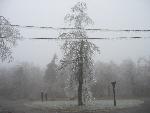 Ice storm damage in Shenandoah
