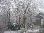 Ice storm damage in Shenandoah