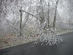 Ice storm damage in Shenandoah