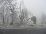 Ice storm damage in Shenandoah