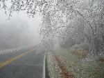 Ice storm damage in Shenandoah