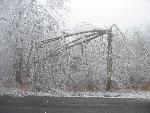 Ice storm damage in Shenandoah