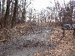 Ice storm damage in Shenandoah