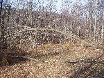 Ice storm damage in Shenandoah