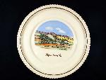 Skyline Drive Plate