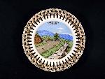 Skyline Drive Plate