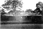 Lewis Mountain Lodge