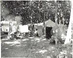 Lewis Mountain Campground