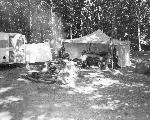 Lewis Mountain Campground
