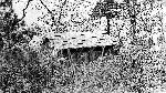 Lewis Mountain Comfort Station