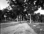 VA-119-035.jpg
