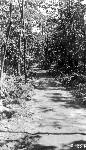 Dickey Ridge Trail Near Graverly Springs